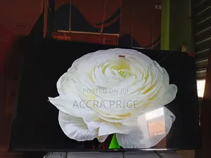 Sky Dream With Tcl55
