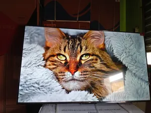 Sky Dream With Tcl55