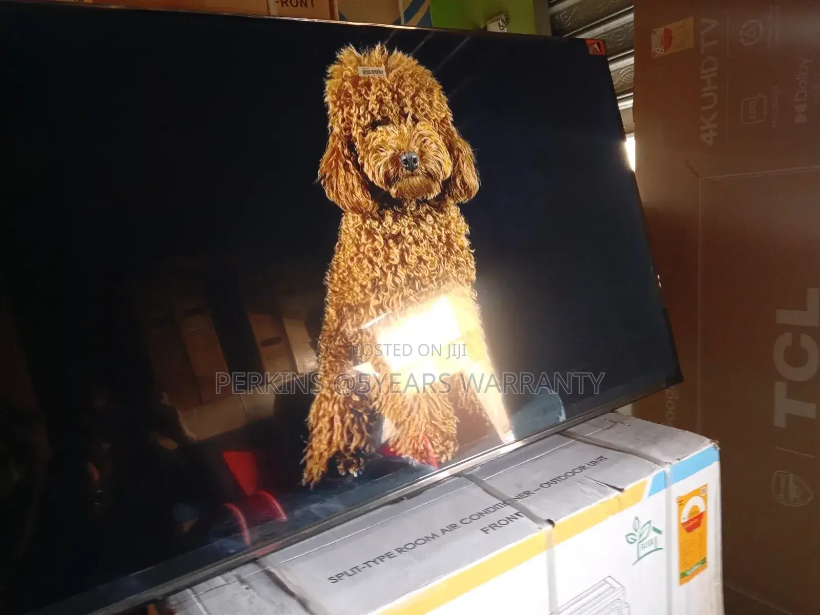 Immerse Yourself in Rich Cinematic Sound With 55 Inches Qled TCL Tv