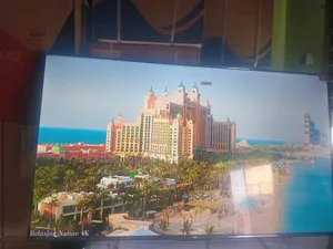 Family TCL Digital Uhd TCL Tv