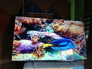 Maxy Taps With Tcl55