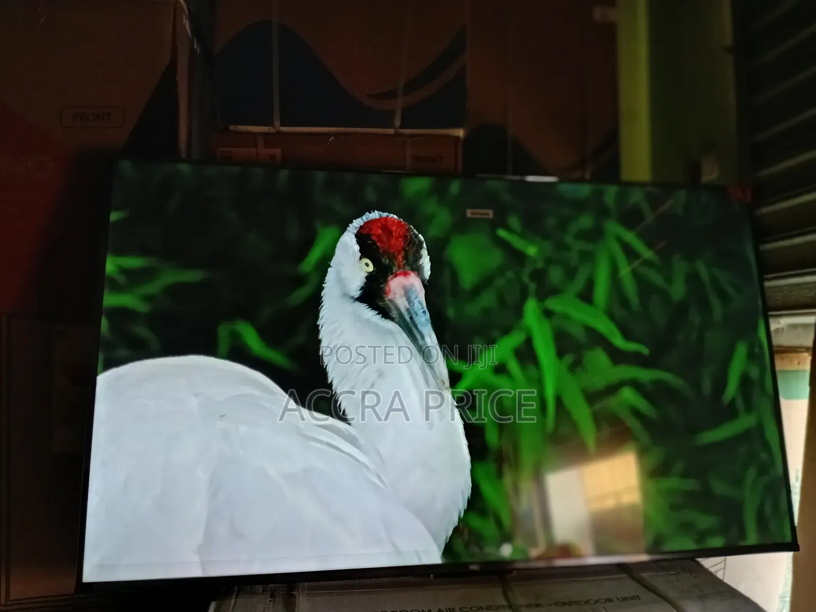 Happiness at Last Tcl55