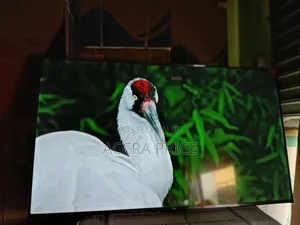 Happiness at Last Tcl55