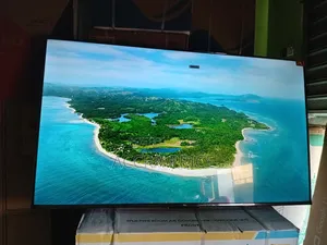 Exquisite Toss 55tcl