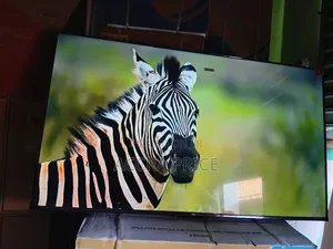 Cost Friendly Vibes Tcl55
