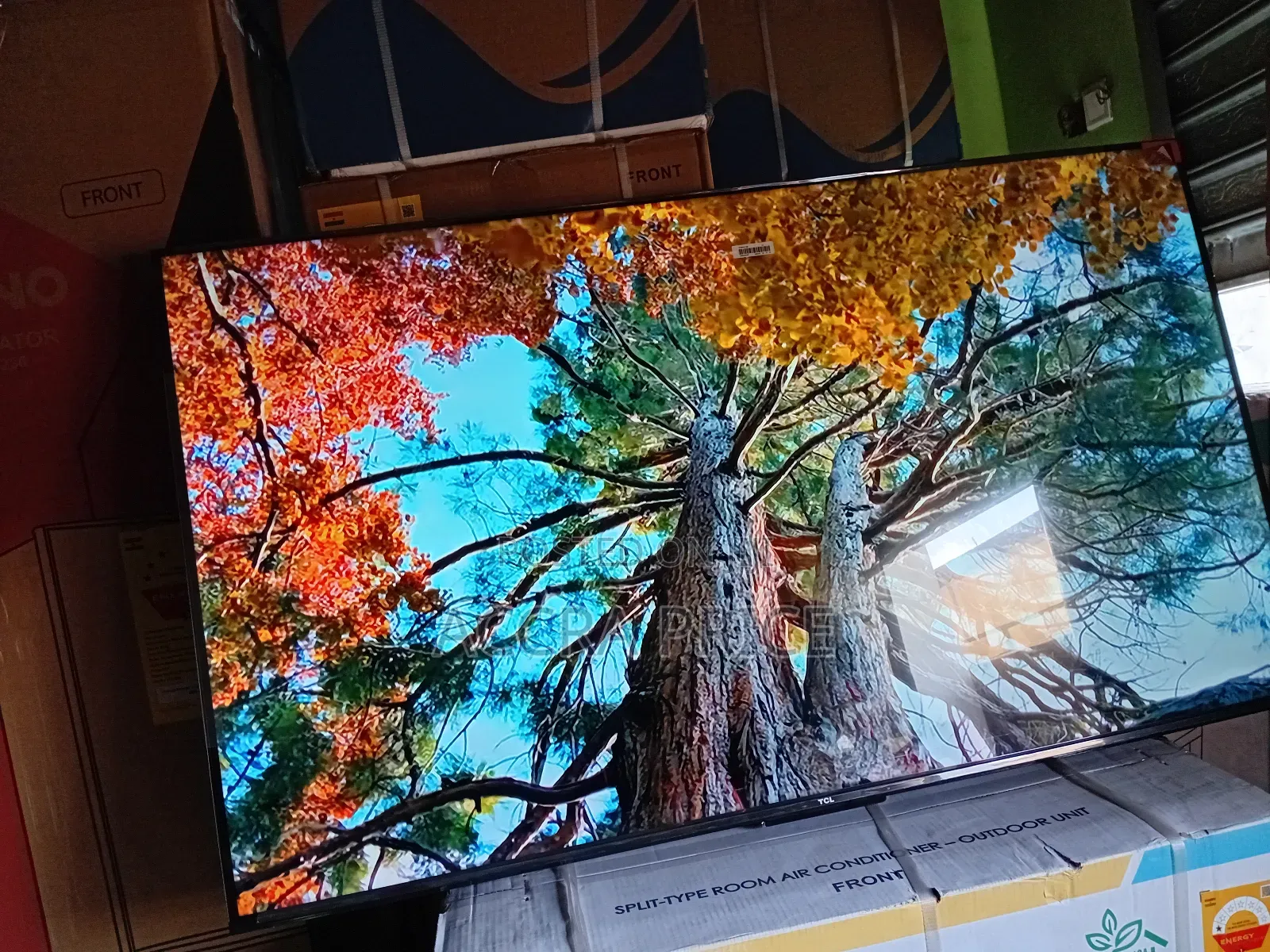 Rainbow Classic Tcl55