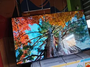 Rainbow Classic Tcl55