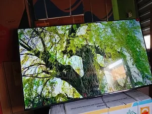 Rainbow Classic Tcl55