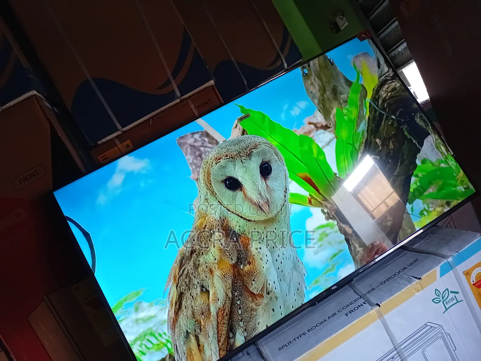 Real Aquatic View 55tcl