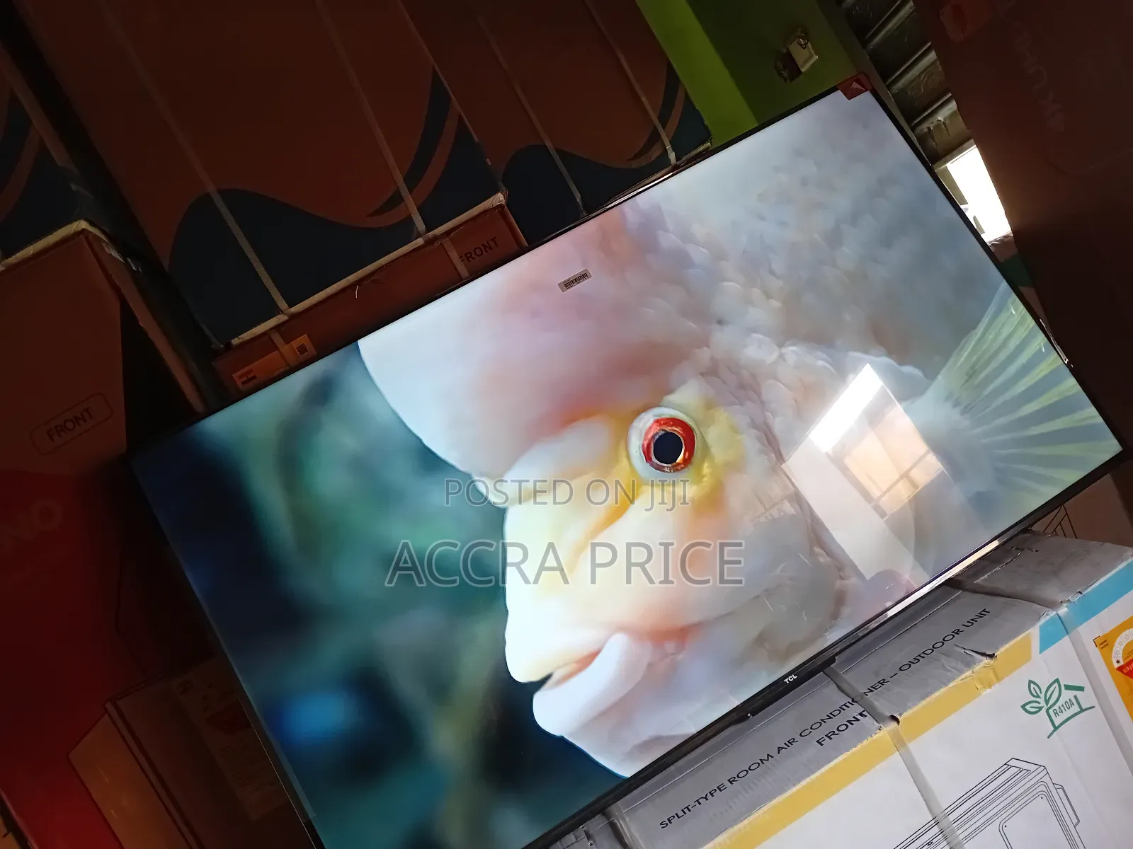 Real Aquatic View 55tcl