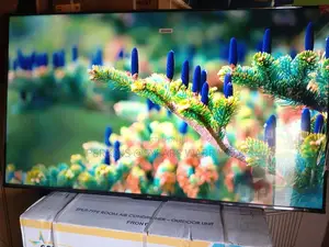 Experience the Future of Entertainment With TCL 55 Smart Tv