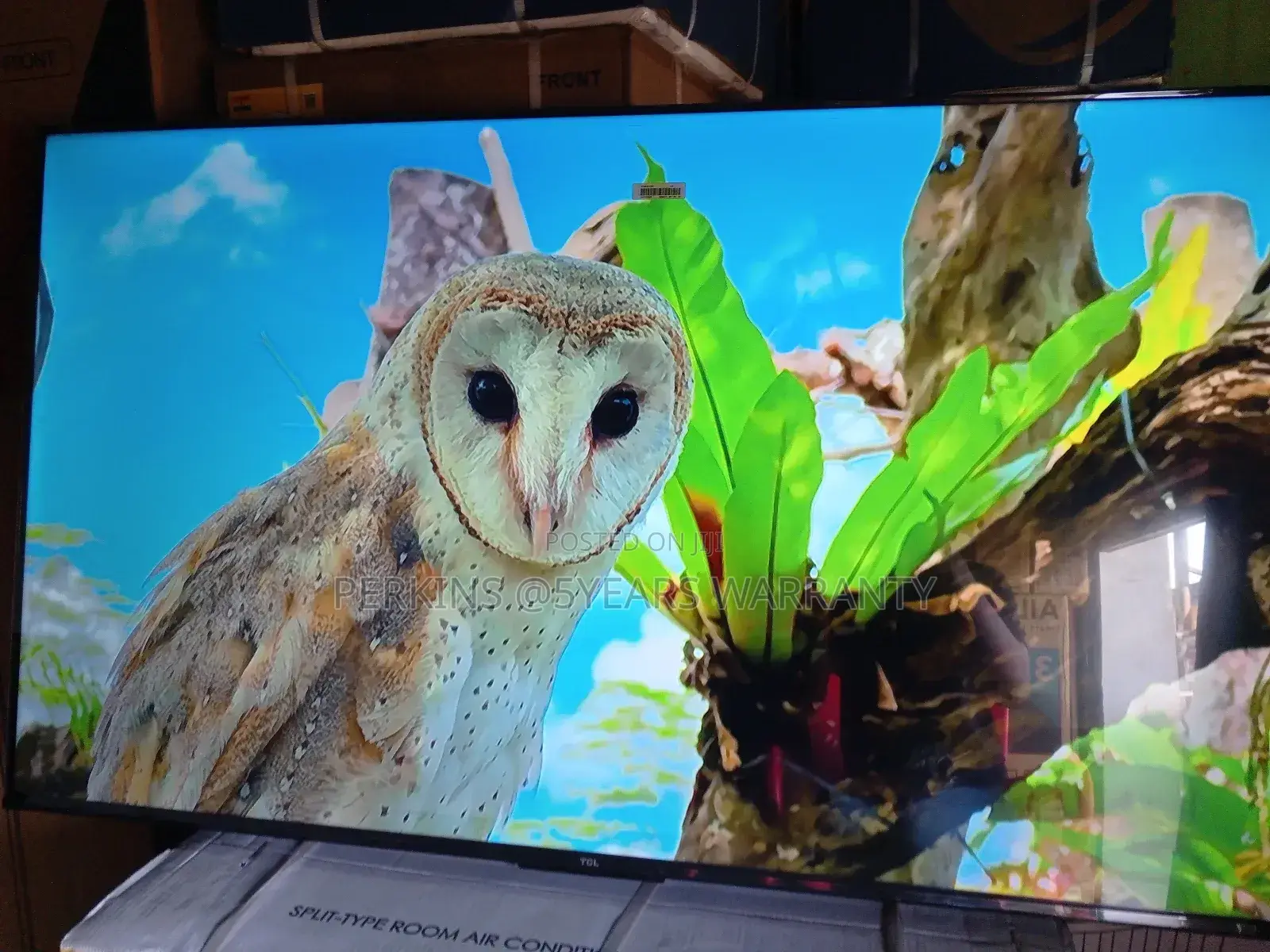 Experience the Ultimate Entertainment Hub With TCL 55 Qled Tv