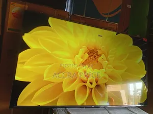 Exclusive Vision With Tcl55