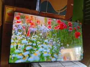 Exclusive Vision With Tcl55