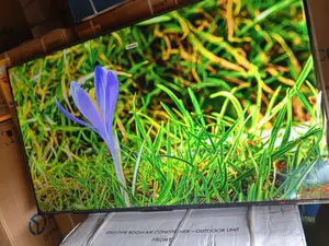 Experience Sport Mode for More Immersive Viewing With 55 Smart TCL Tv