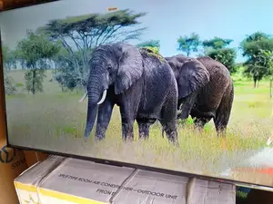 Experience Sport Mode for More Immersive Viewing With 55 Smart TCL Tv