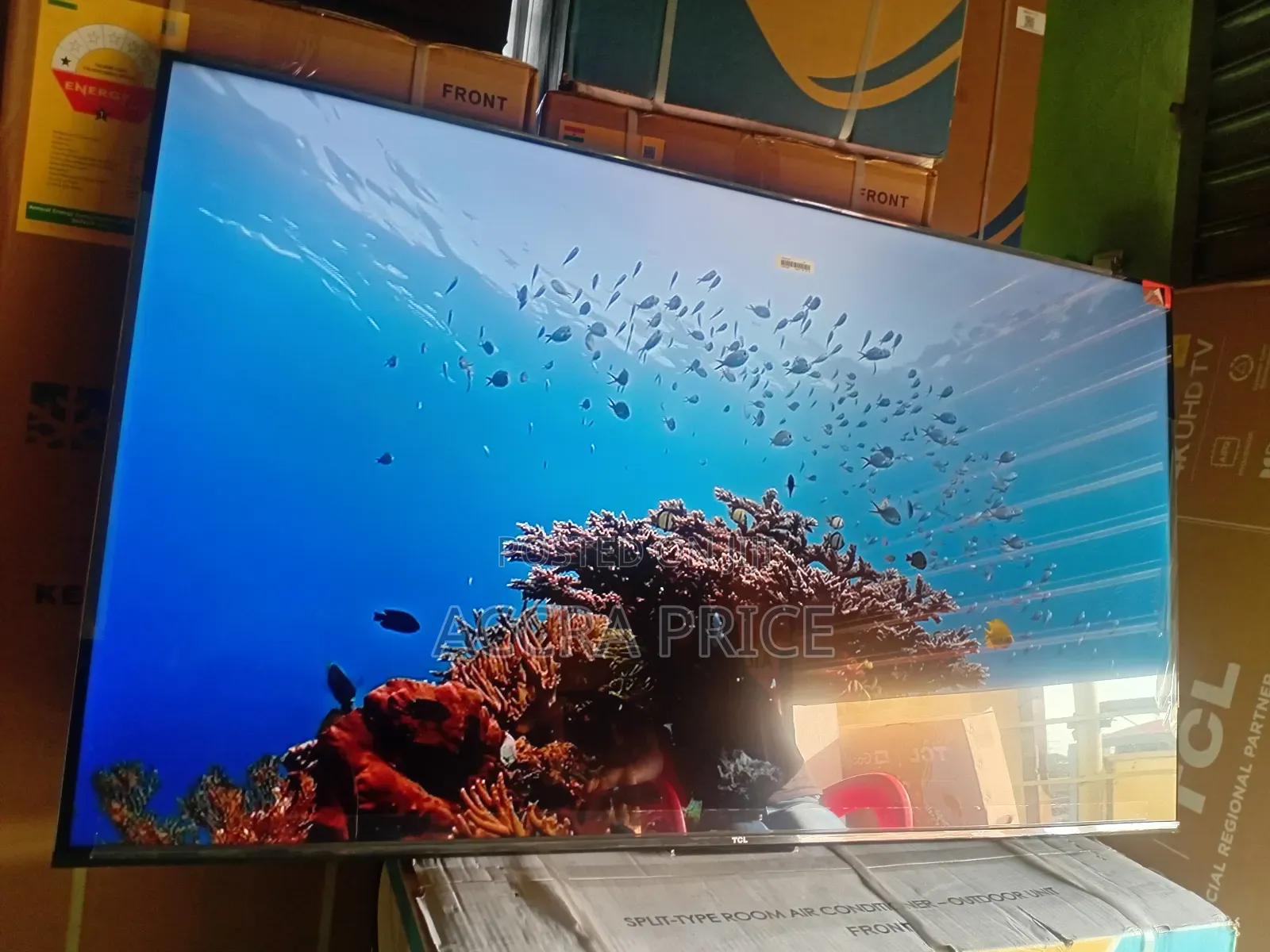 Free Living Screen Tcl65