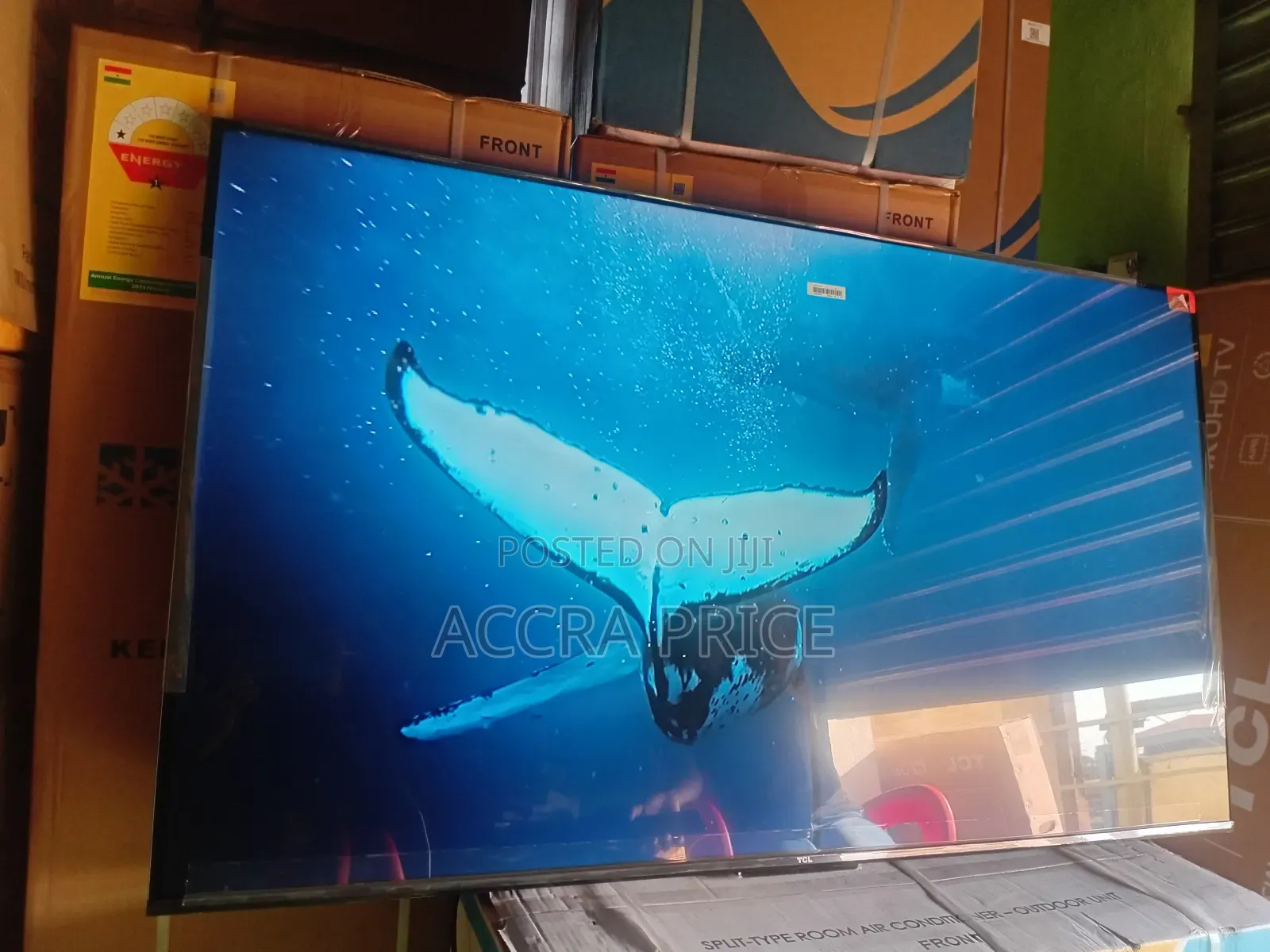 Free Living Screen Tcl65