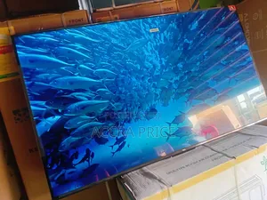 Glory on Screen Tcl65