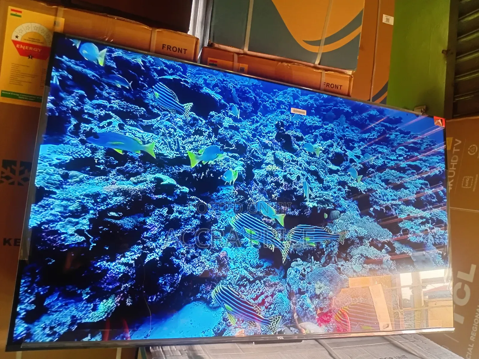 Life Increment Astonish With Tcl65