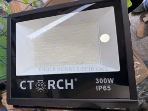 300 Watt Floodlight
