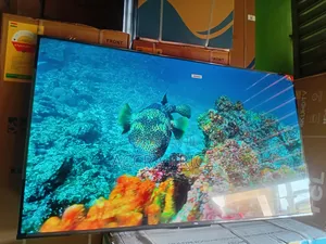 Approved Brand Tcl65