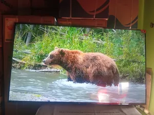 Home Happiness Comes With TCL Digital FHD TCL Tv