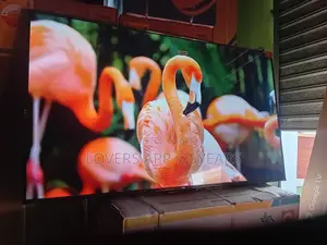The Smartest Tv in Your Home – TCL 55inches Smart Tv
