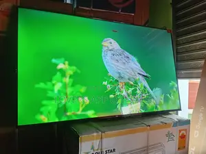 The Smartest Tv in Your Home – TCL 55inches Smart Tv