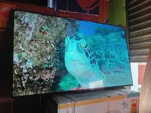 Crisp, Clear, and Immersive – TCL 55inches Smart Tv