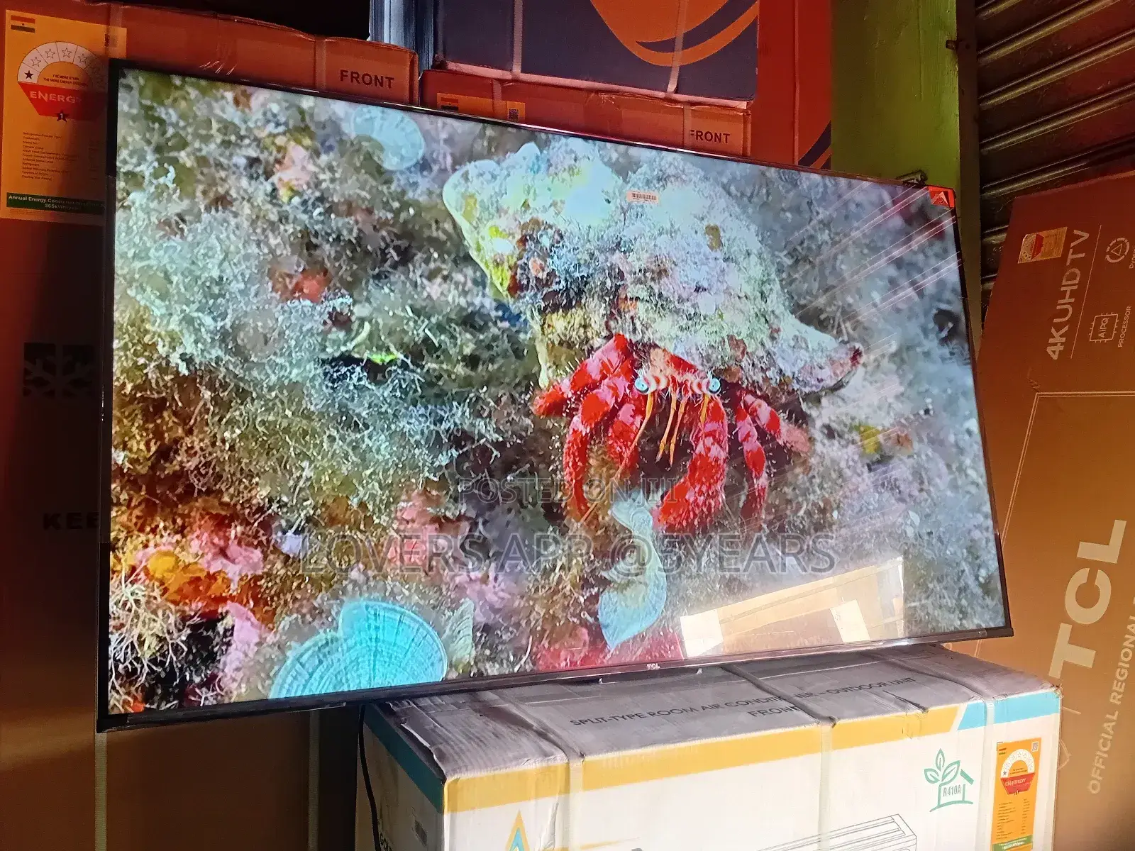Crisp, Clear, and Immersive – TCL 55inches Smart Tv