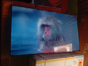 Watch, Play, Enjoy – The TCL 55inches Smart Tv Has It All