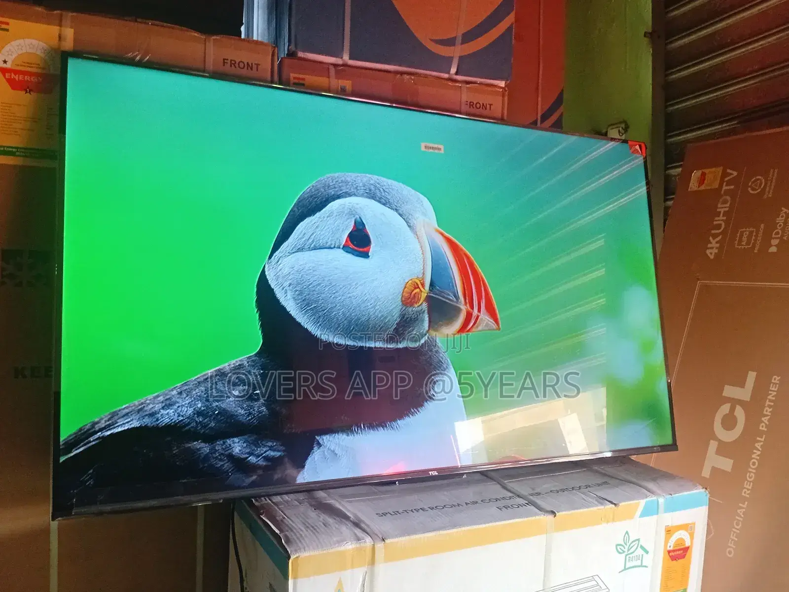 Larger Than Life Entertainment – TCL 55inches Smart Tv