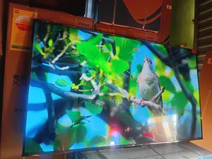 Quality With Professional Images Tcl55