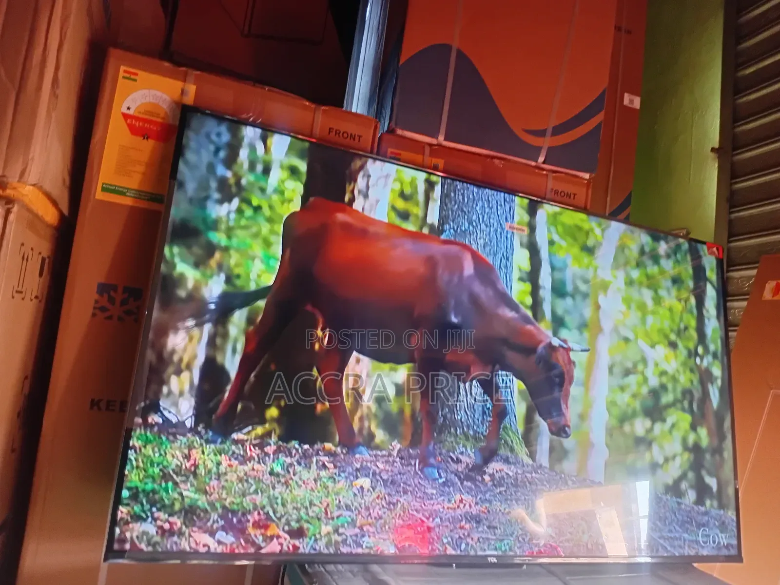 Quality With Professional Images Tcl55