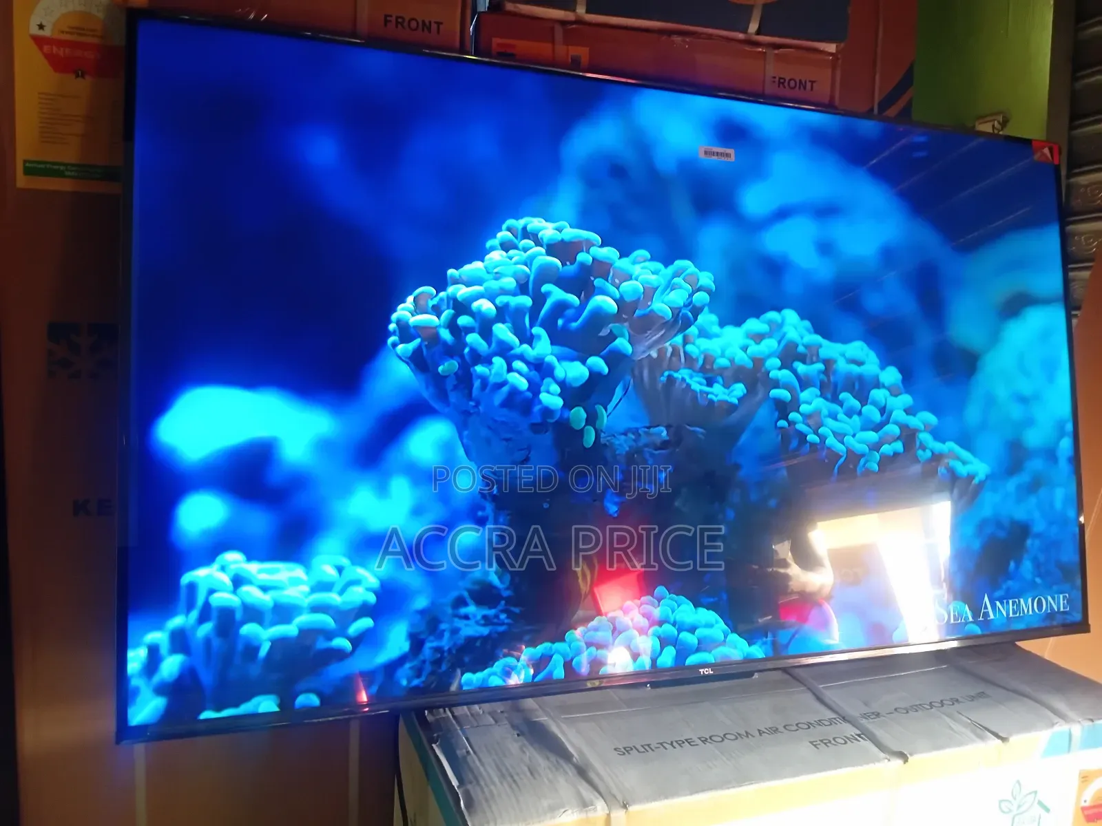 Life Advancement With Tcl55