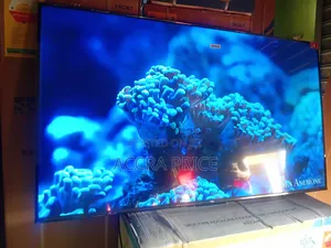 Life Advancement With Tcl55