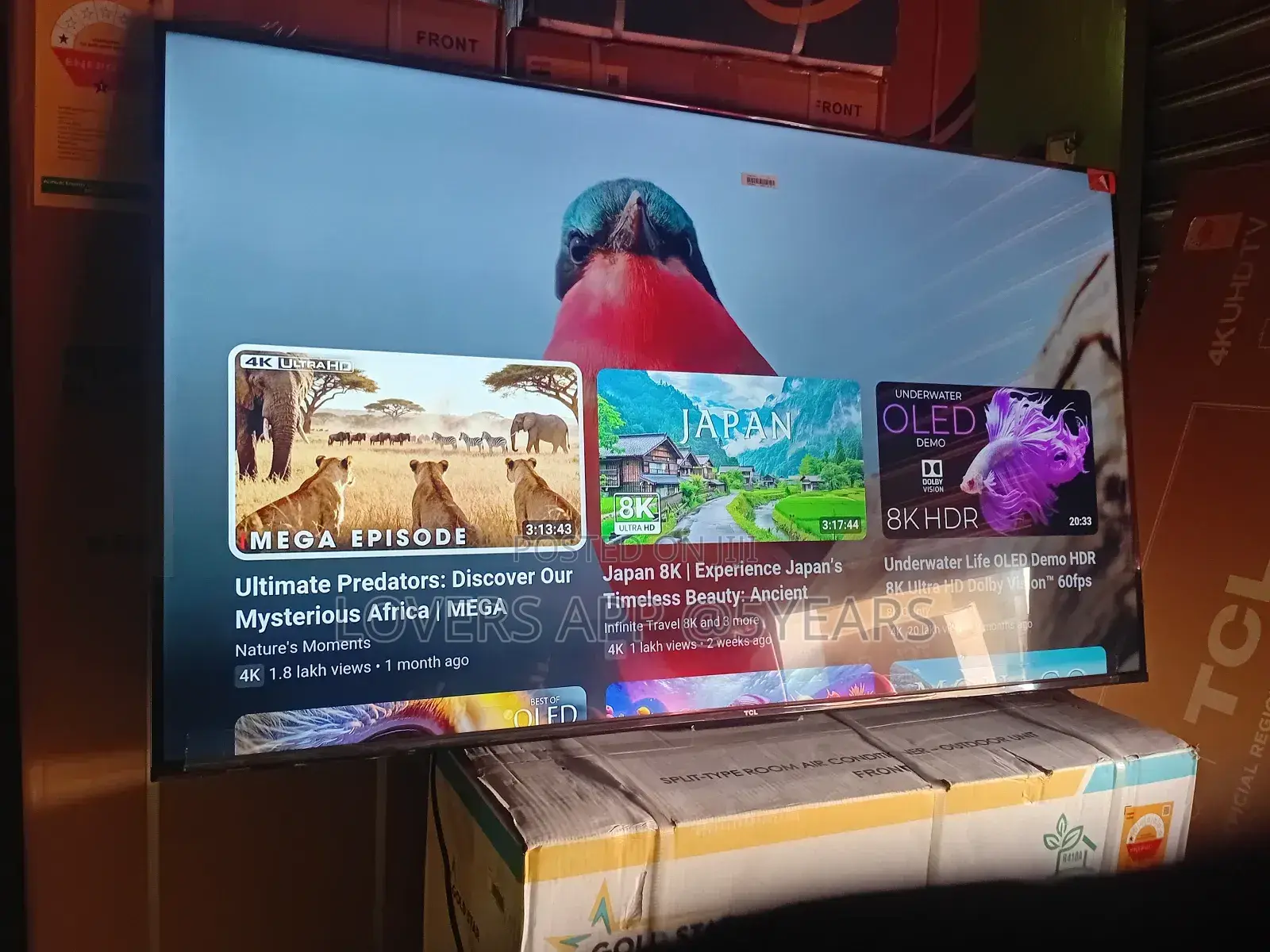 Bigger Screen, Bigger Entertainment – TCL 55inches Smart Tv