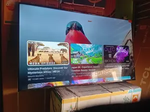 Bigger Screen, Bigger Entertainment – TCL 55inches Smart Tv