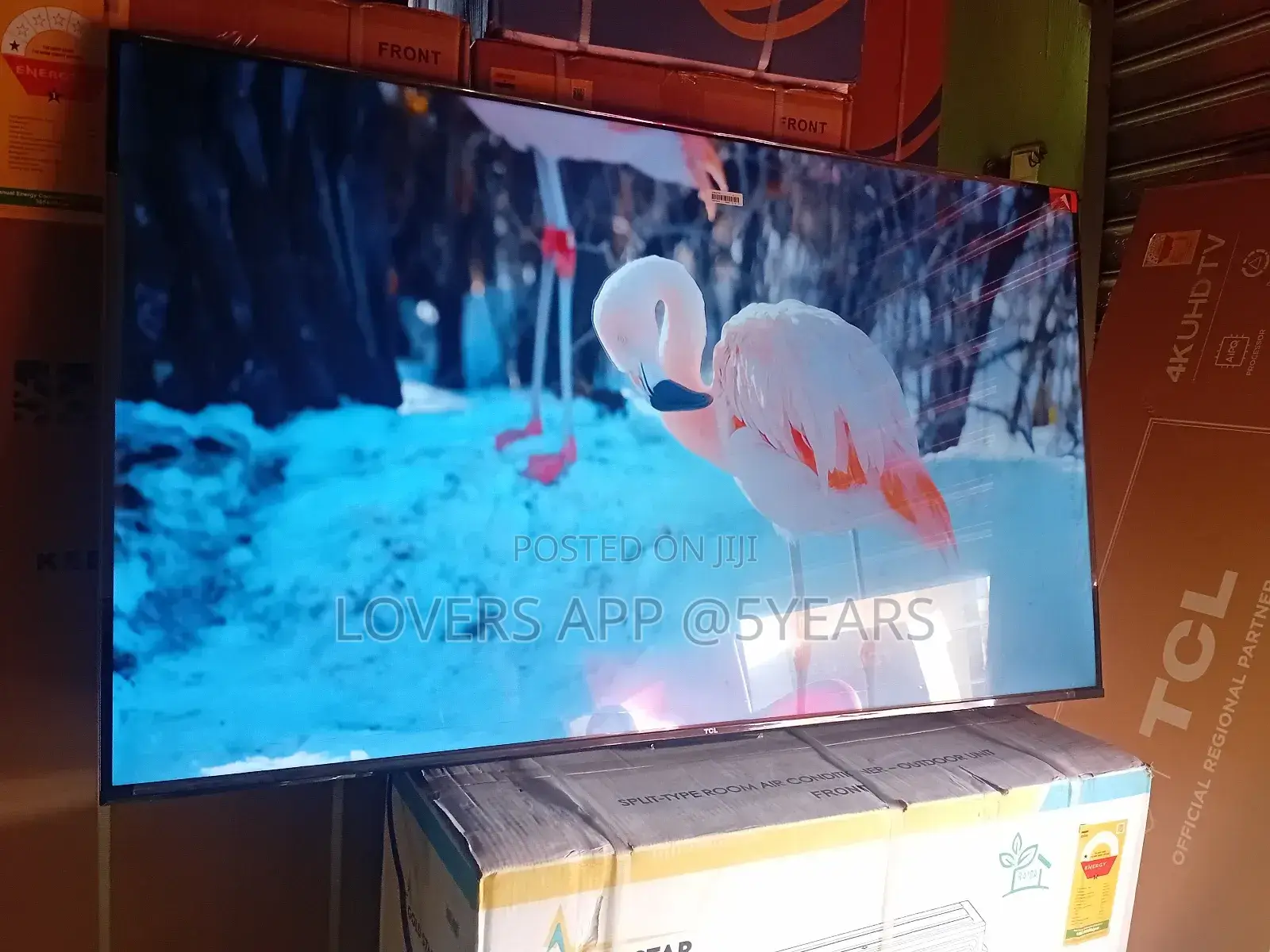 TCL 55inches Tv – Perfect for Streaming Your Favorites