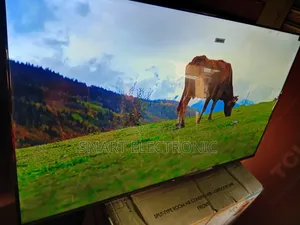 TCL 55-Inch Smart Tv – Stunning Picture, Smart Features