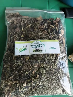 Jamaican Dog Blood Bush Herbs (Fertility, Cyst, Prostate in Men)