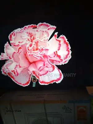 Connect With Family and Friends Through Screen Mirroring With TCL 50