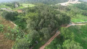 16 Acres of Registered Land for Sale at Aburi