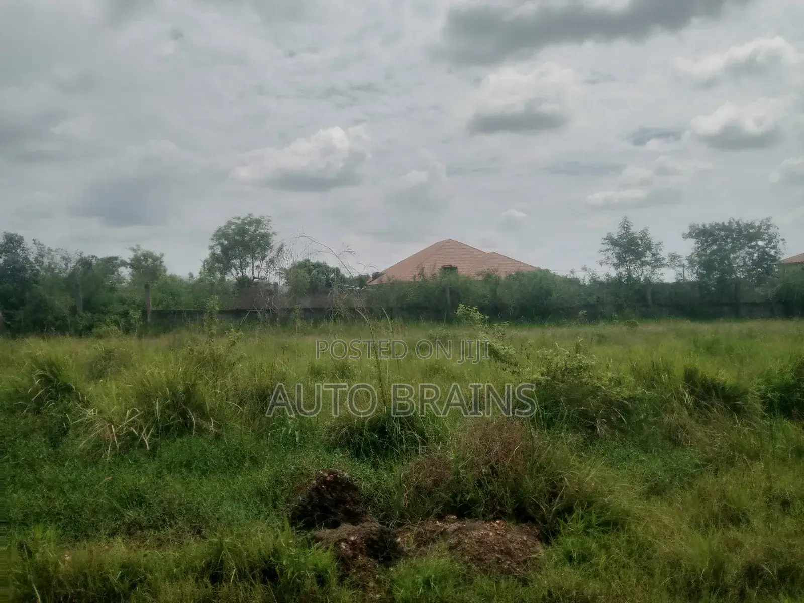 2 Plots of Land