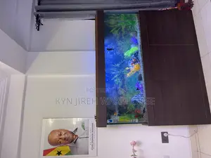 Brown Aquatic Aquarium With 15 Fishes