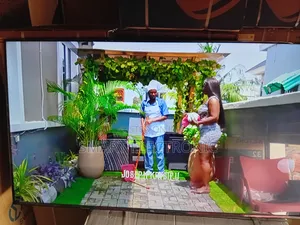 16. “The Future of Home Entertainment – TCL 55-Inch Smart Tv!”