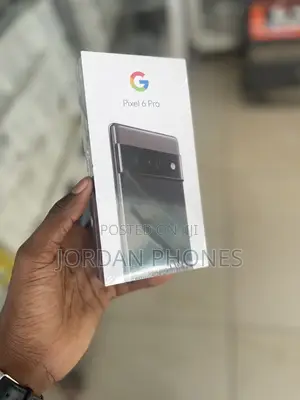 New Google Pixel 6 Pro 128 GB Gray