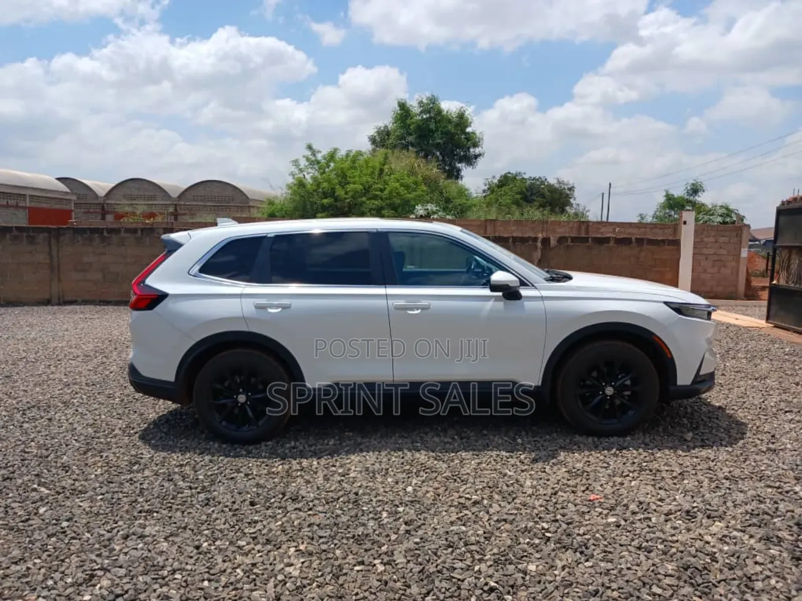 Honda CR-V EX-L AWD 2023 White