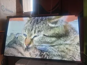 Ccomplex TCL Digital Uhd TCL Tv
